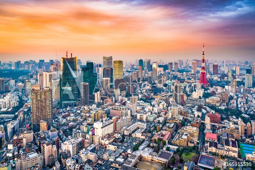 Picture of Tokyo Japan Skyline